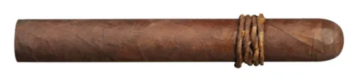 CAO Amazon Basin